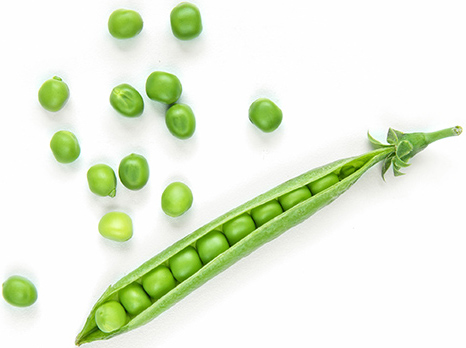 AdobeStock_363516702.jpeg (fresh green peas isolated on white background)