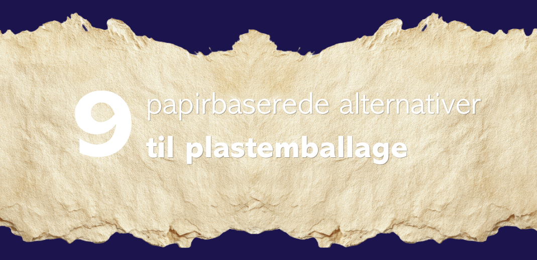 Blog-cover_alternatives-to-plastic-1069x519--1-.png