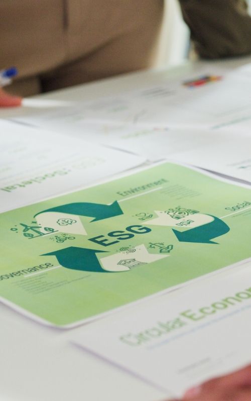ESG_500x800px.jpg