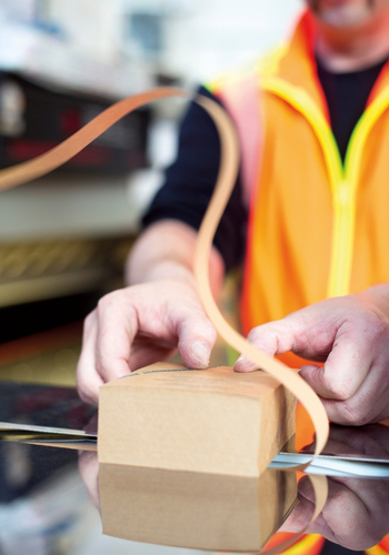 Strapping 1_350x500px.jpg