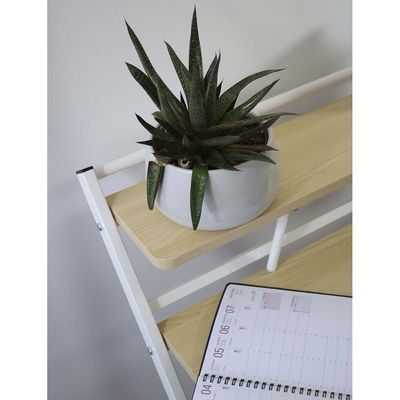 Ergonomi til skrivebordet