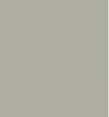 Aslan CT113 Transparent