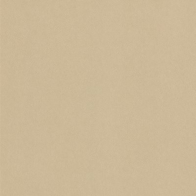 Coala Interior Film Marble