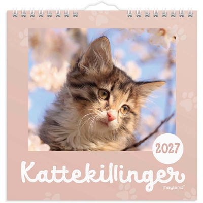Plankalendere