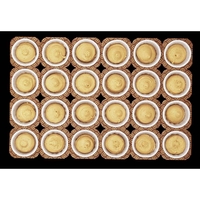 Muffinforme