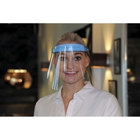 Ansigtsvisir