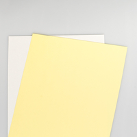 Xerox Carbonless Straight Collated