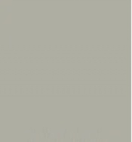Aslan CT113 Transparent