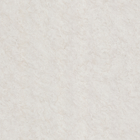 Coala Interior Film Marble