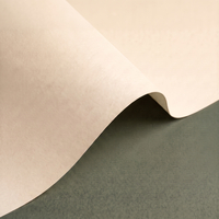 Olin Design Regular
