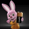 Standard batterier