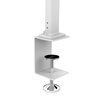 Bordlamper