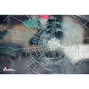 Avery SF Clear Safety Film