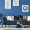 Coala Photo Gloss