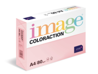 Image Coloraction